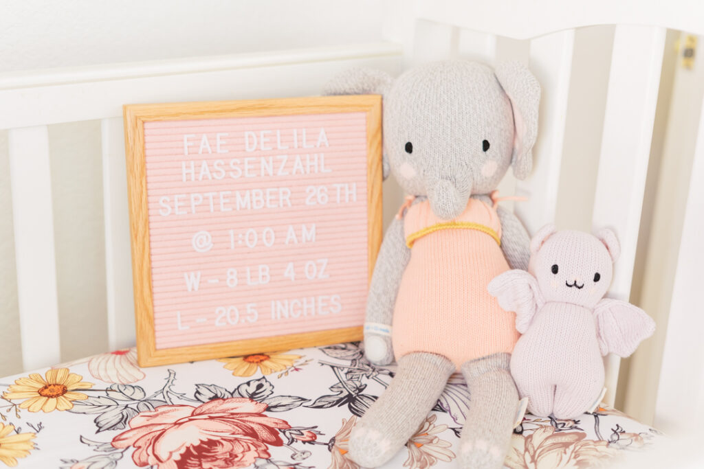 Two stuffed animals are leaning against the side of a white crib, on a floral fitted shit in a girl nursery filled with natural light. Against the stuff animals is a pink sign with white letters spelling the baby's name, her date of birth, time of birth, weight, and length, in a light and airy image captured by an Austin newborn photographer.