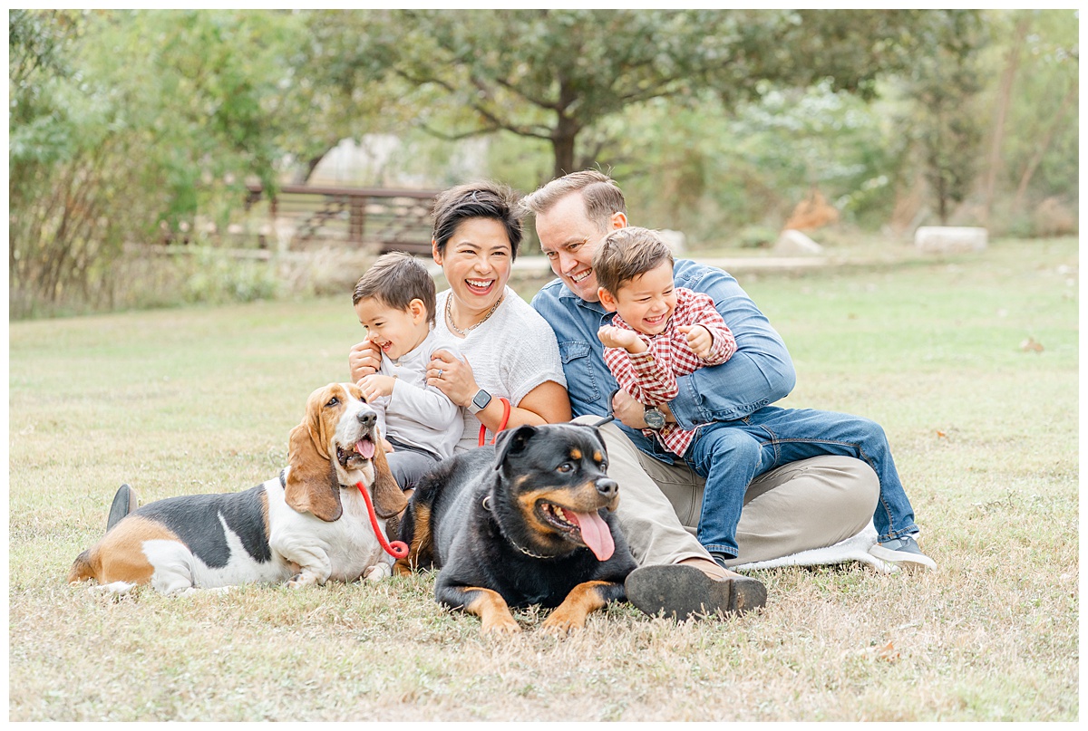 a family of 4 sits on a white blanket at an Austin park for their family photos with their small and big dog. They play and tickle each other.