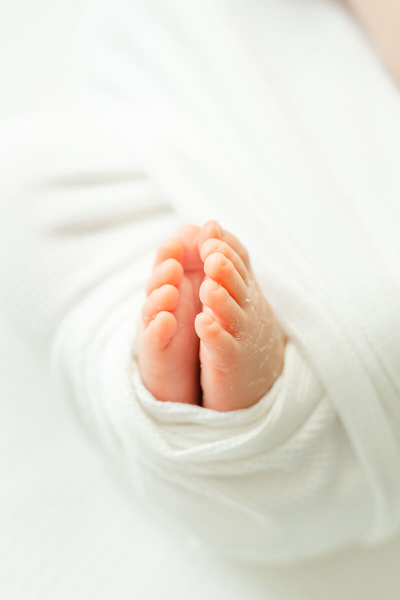 detailed macro shot of newborn feet.